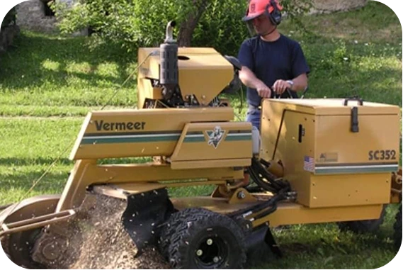 A wide-angle view of a professional tree service technician in a navy shirt and protective safety helmet operating a Vermeer SC352 stump grinder on a sunny day, efficiently turning a stump into wood chips to clear a residential lawn.